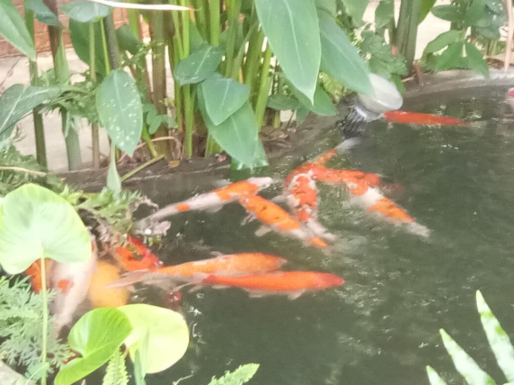 Q Zone Boutique House Hotel Phra Nakhon Si Ayutthaya Luaran gambar
